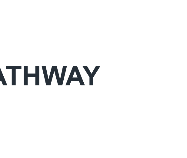 Energy-Solution_Pathway20